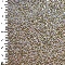 picture about 1054 - Tigre