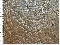 picture about 1060 - Rugato