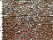picture about 1084 - Cervello