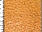 picture about 1262 - Pecary