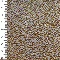 picture about 1456